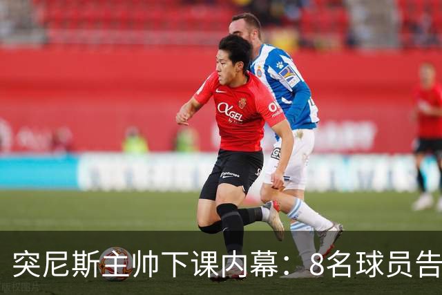突尼斯主帅下课内幕：8名球员告知主帅要走一起走 结果未兑现承诺