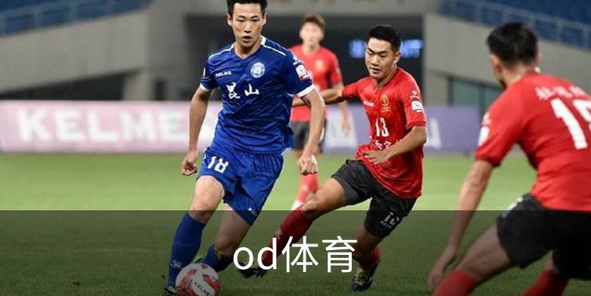 了解od体育